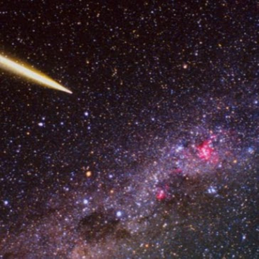 Meet your Posher, Nyel